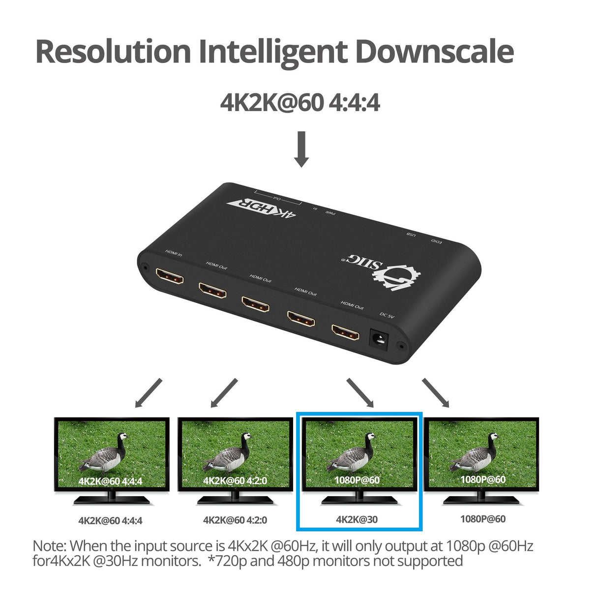 1x4 HDMI Splitter / Distribution Amplifier with Auto Video Scaling - 4K 60Hz HDR