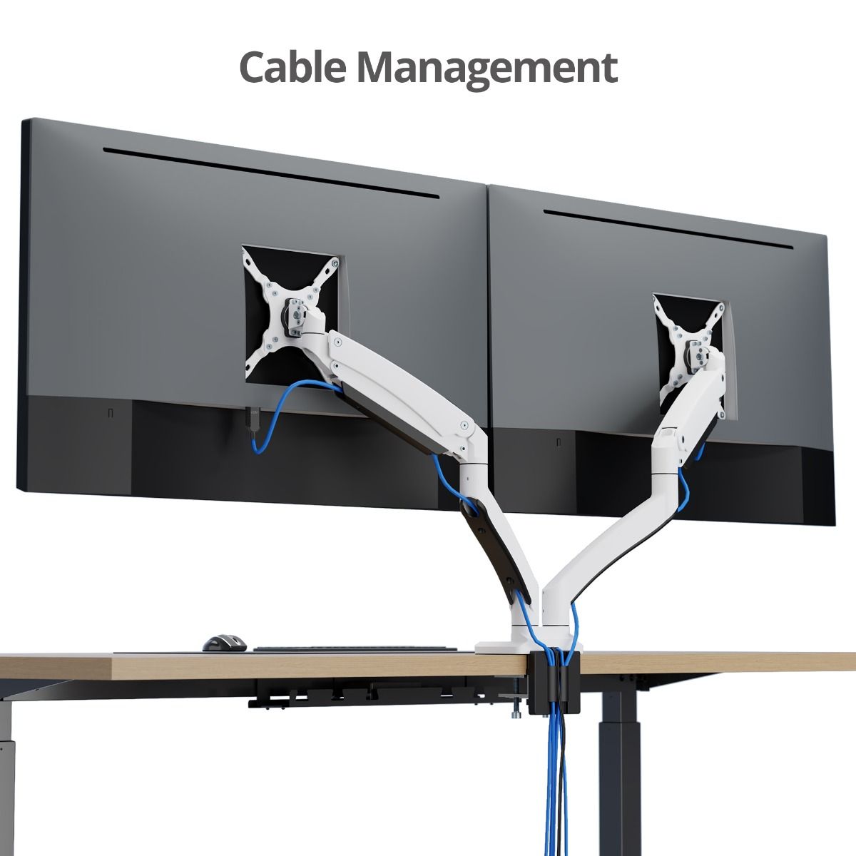 Dual Monitor Aluminum Heavy Duty Desk Mount with USB and Audio Ports - 17" to 43"- 44 lbs Max- VESA 75x75/100x100/200x200- Quick Access USB-A 5Gbps & Audio Port