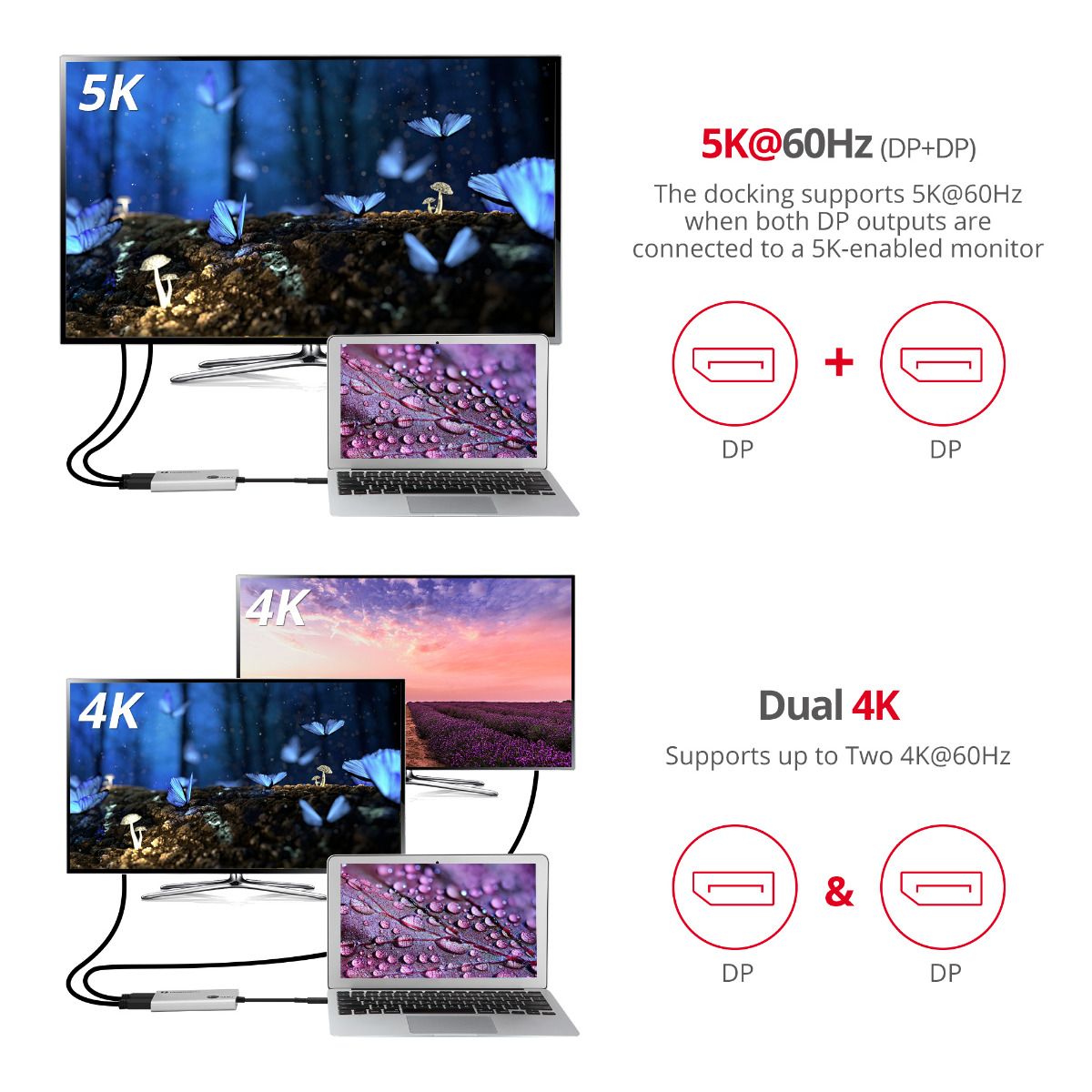 Thunderbolt 3 to Dual DP 1.2 Adapter