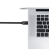 Mini DisplayPort to DisplayPort Cable - 3M