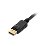 DisplayPort to DVI Converter