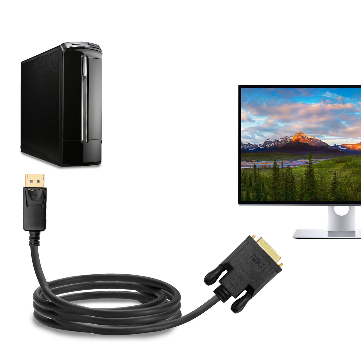 DisplayPort to DVI 6ft Cable