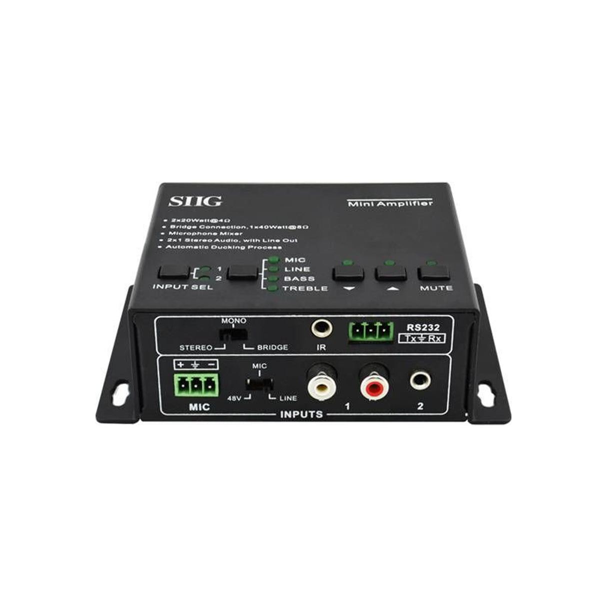 Mini Digital Amplifier