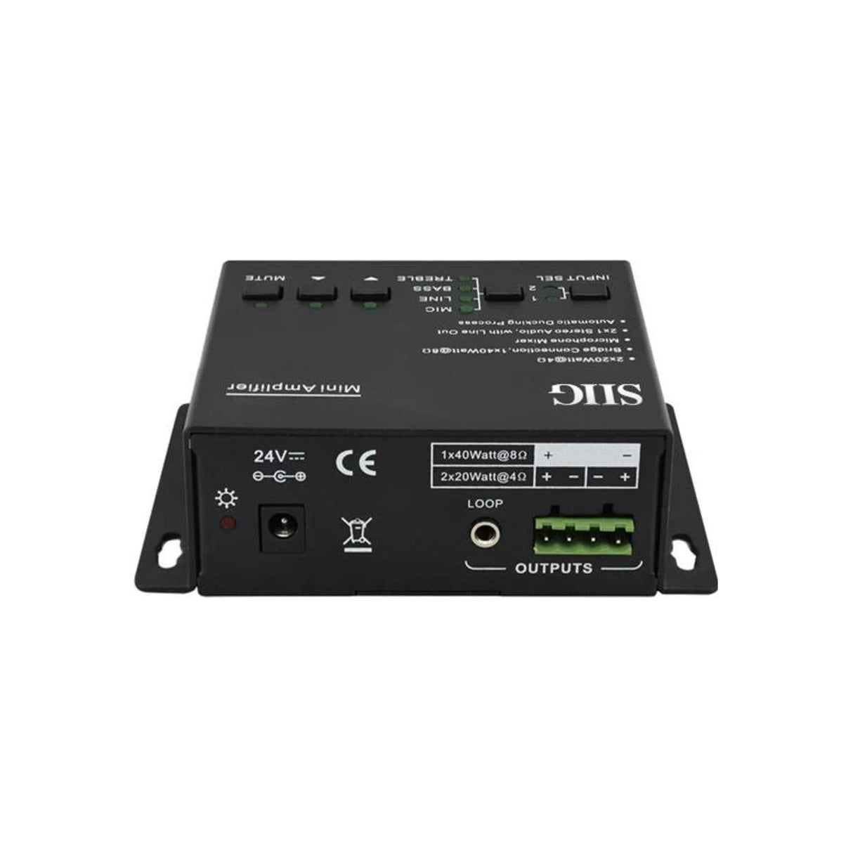 Mini Digital Amplifier