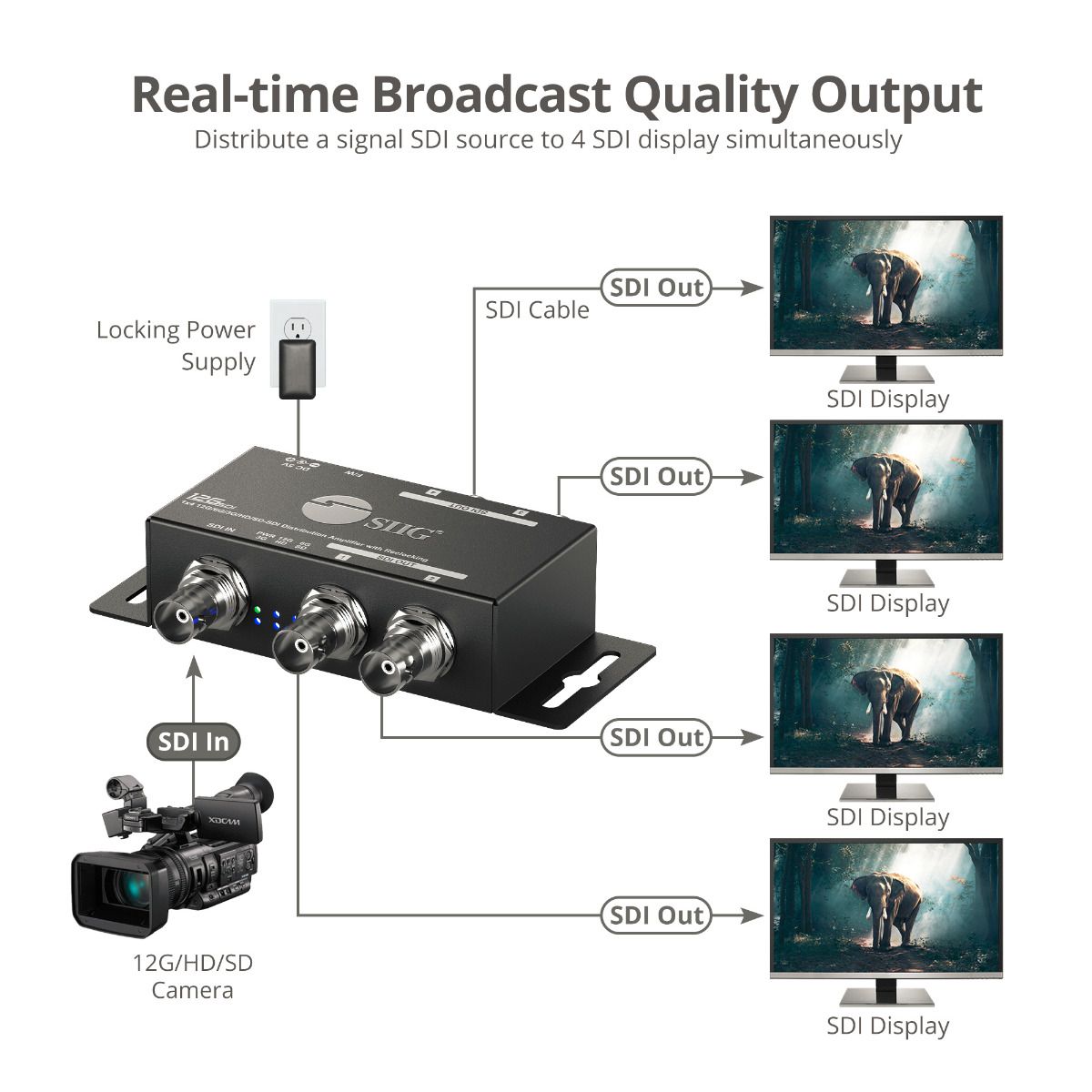 1x4 12G SDI Distribution Amplifier