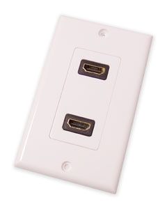 2-Port Wall Plate