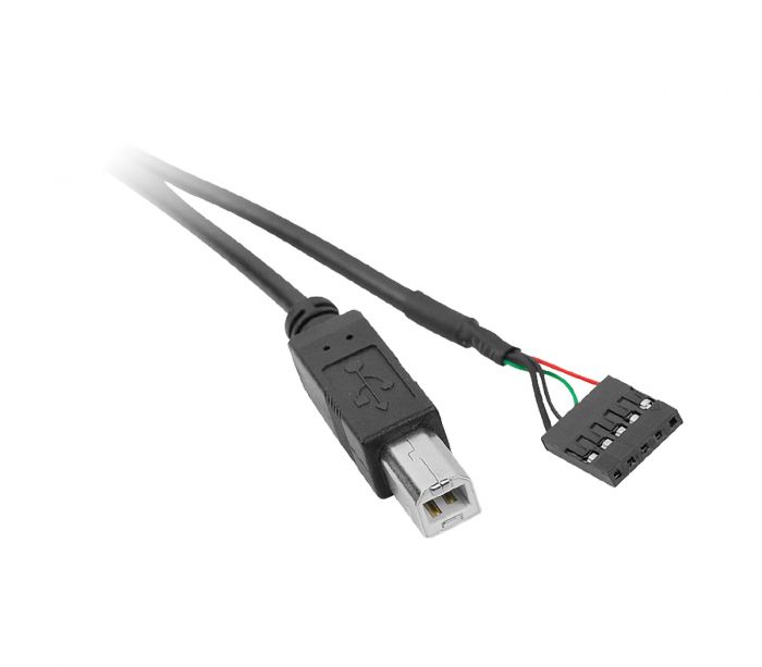 Ondenkbaar Land van staatsburgerschap Permanent USB 2.0 B-Type to 5-Pin Header Cable